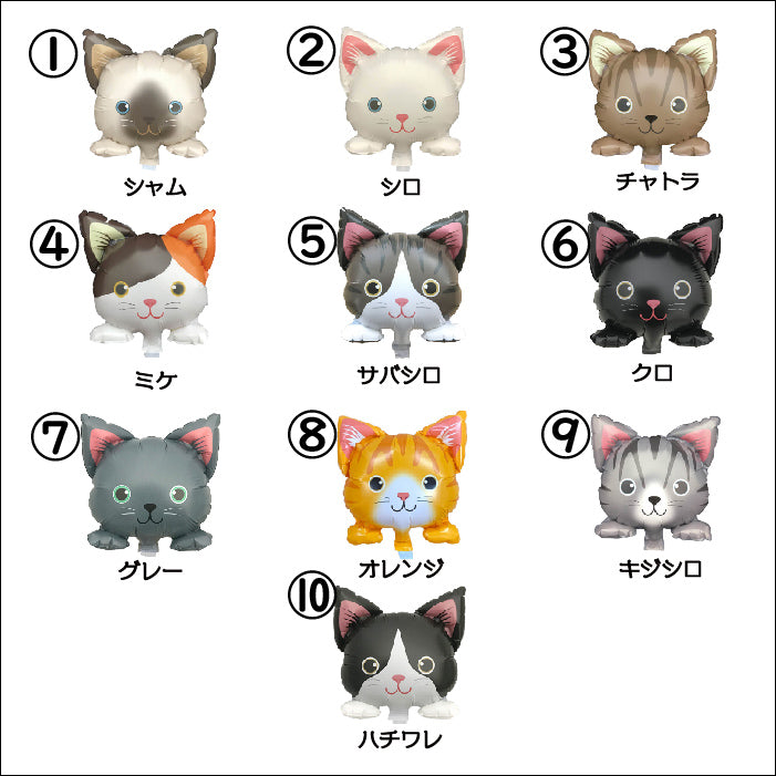 お好きなニャンコが選べるバルーンアレンジです!大事なニャンコの誕生日やご供養にもおすすめです pet8021