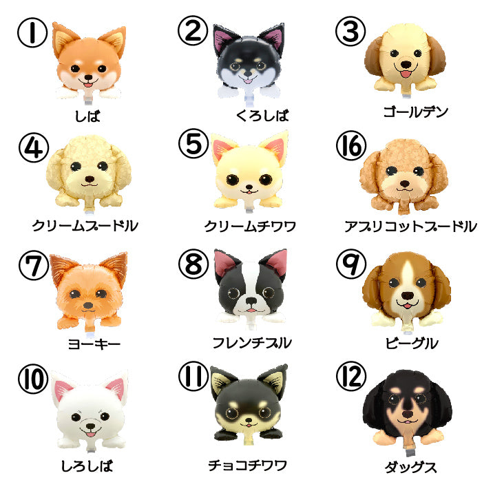 お好きなワンコが選べるバルーンアレンジです!大事なワンコの誕生日やご供養にもおすすめです pet8022