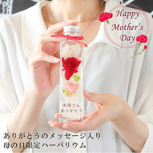 母の日 カーネーションのハーバリウム