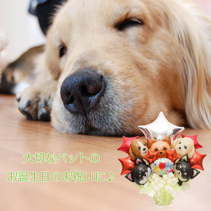 可愛いワンコとニャンコのバルーンアレンジです!ペットサロンの開店や周年におすすめです! pet1021