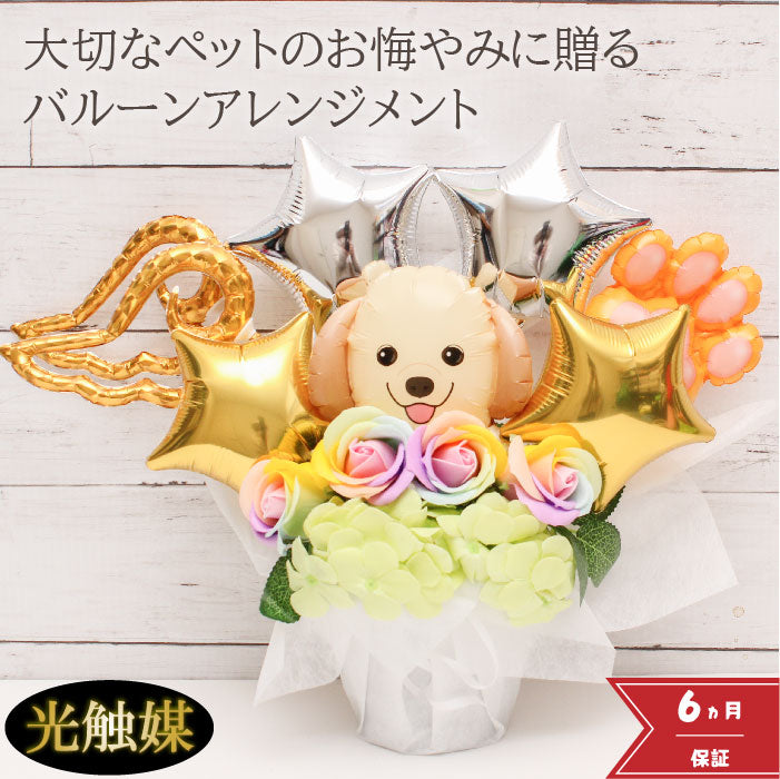お好きなワンコが選べるバルーンアレンジです!大事なワンコの誕生日やご供養にもおすすめです pet8022